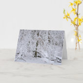 Carte Snowy Birch Tree Canopy (Fleur jaune)