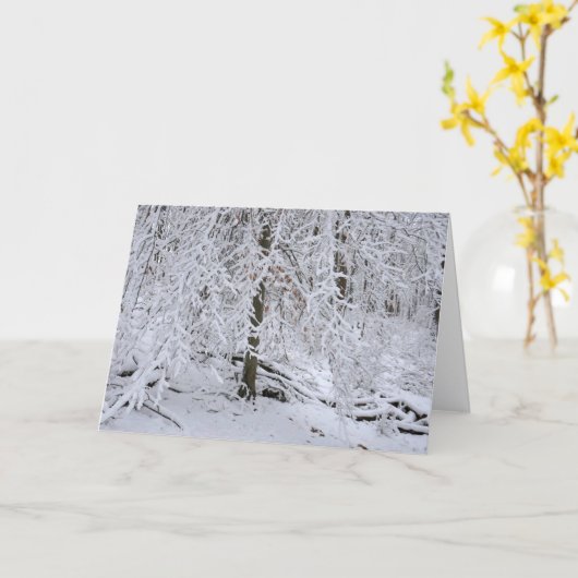 Carte Snowy Birch Tree Canopy (Fleur jaune)