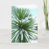 Carte Snowy Cactus (Devant)