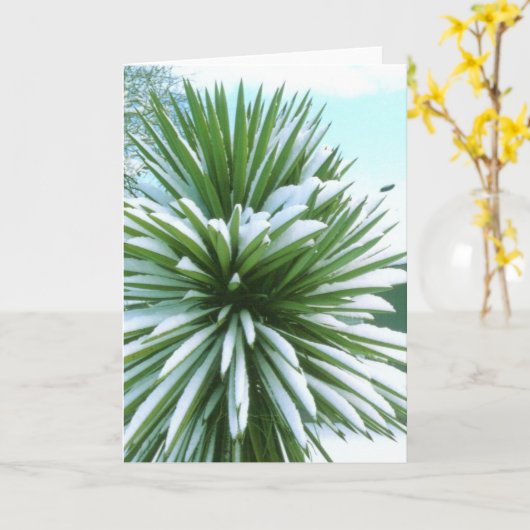 Carte Snowy Cactus (Fleur jaune)