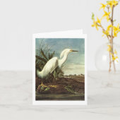 Carte Snowy Egret, John James Audubon (Fleur jaune)