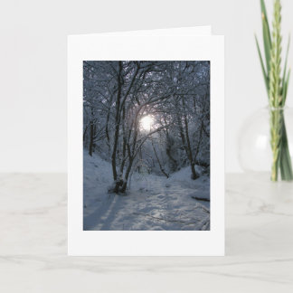 Carte Snowy Forest trail