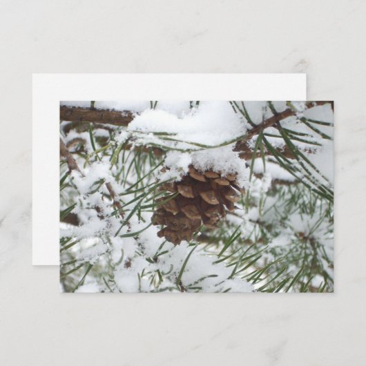 Carte Snowy Pine Cone I (Devant / Derrière)