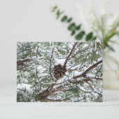 Carte Snowy Pine Cône II hiver Photographie de la nature (Debout devant)