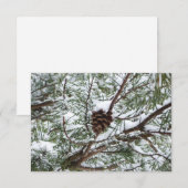 Carte Snowy Pine Cône II hiver Photographie de la nature (Devant / Derrière)