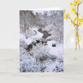 Carte Snowy Town Brook Plymouth MA (Fleur jaune)