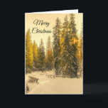 Carte Snowy Winter Path with Pine Trees Noël<br><div class="desc">Joyeuse carte de voeux de Noël avec une belle photo nature. Un chemin hivernal isolé avec de grands pins enneigés. Une teinte dorée créera une sensation magique à cette photo.</div>