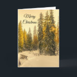 Carte Snowy Winter Path with Pine Trees Noël<br><div class="desc">Joyeuse carte de voeux de Noël avec une belle photo nature. Un chemin hivernal isolé avec de grands pins enneigés. Une teinte dorée créera une sensation magique à cette photo.</div>