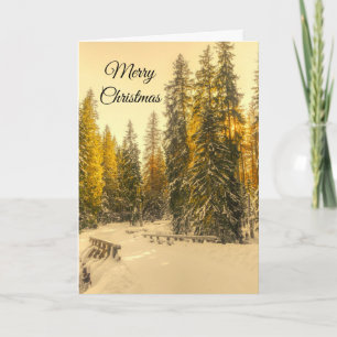 Carte Snowy Winter Path with Pine Trees Noël