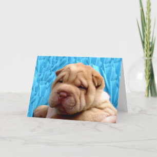 Carte Snuggle Me Greeting Card