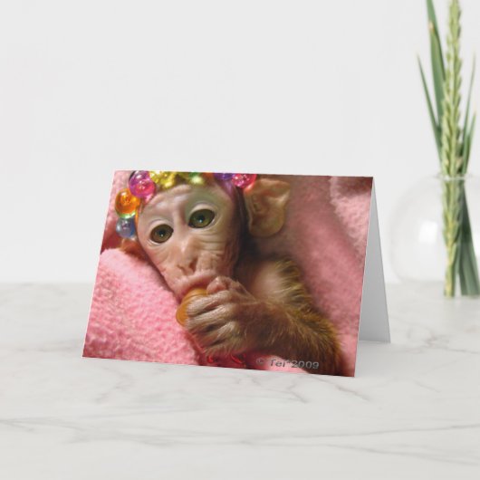 Carte Snuggle Monkey (Devant)