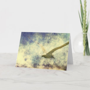 Carte Soar