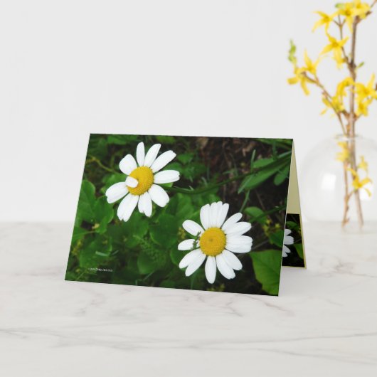 Carte Soeurs (Fleur jaune)