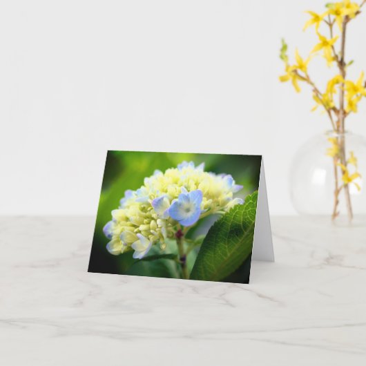 Carte Soft Blue Hydrangea Flower Photography Note (Fleur jaune)