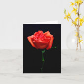 Carte Soft Orange Rose (Fleur jaune)