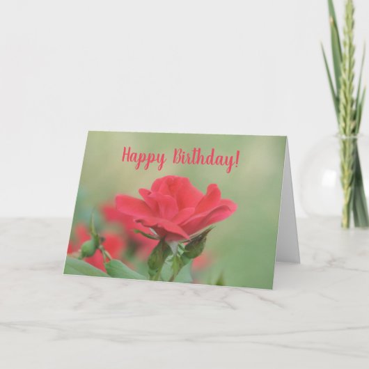 Carte Soft Rose Anniversaire (Devant)
