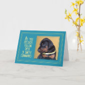 Carte Soins Bien, Assis De Chien (Fleur jaune)