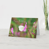 Carte Soirée d'été (Devant)