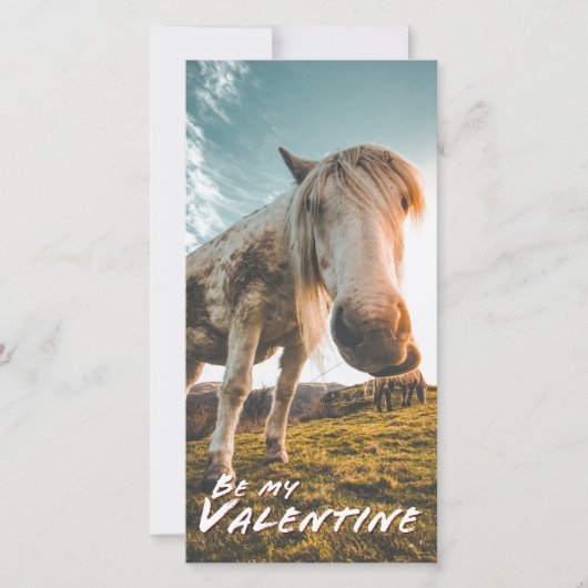 Carte Sois ma Saint-Valentin avec cheval regardant (Devant)