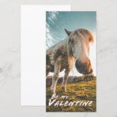 Carte Sois ma Saint-Valentin avec cheval regardant (Devant / Derrière)