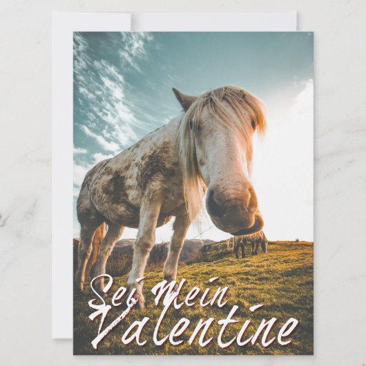 Carte Sois mon Valentin avec cheval qui regarde V2.0 (Devant)