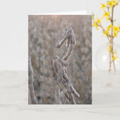 Carte soja (Fleur jaune)