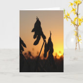 Carte Soja au coucher du soleil (Fleur jaune)