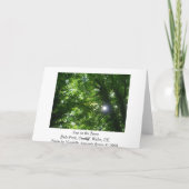 Carte Soleil dans les arbres (Dos)