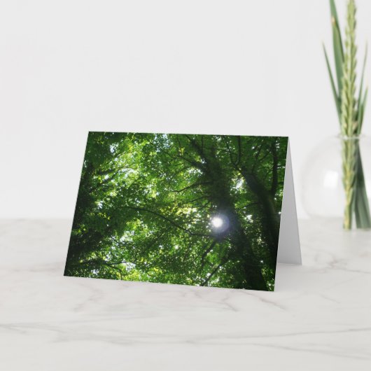 Carte Soleil dans les arbres (Devant)