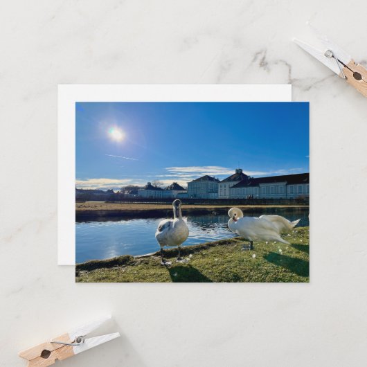 Carte Soleil de printemps (Devant/Arrière en situation)