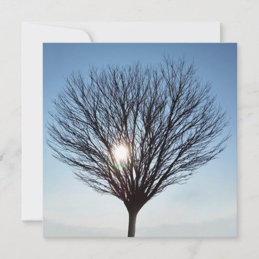 Carte soleil d'hiver (Devant)