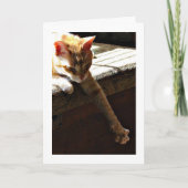 Carte "Soleil d'hiver " (Devant)