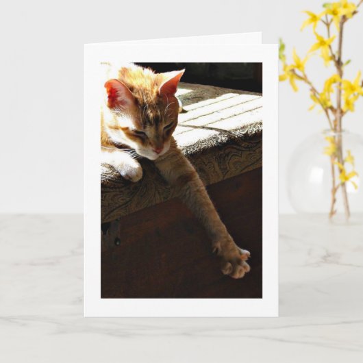 Carte "Soleil d'hiver " (Fleur jaune)