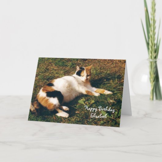 Carte Soleil personnalisé pour le chat Calico (Devant)