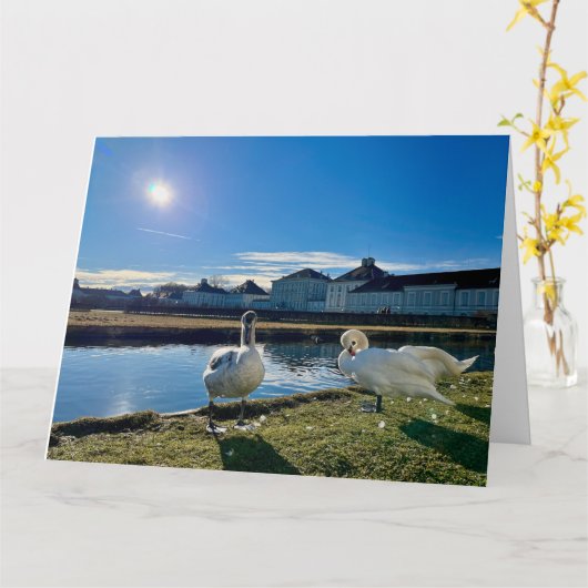 Carte Soleil printanier (Fleur jaune)