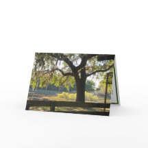 « Solidement enraciné » Salmtes Écriture salutatio