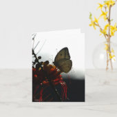 Carte SOLITUDE 5a (Fleur jaune)