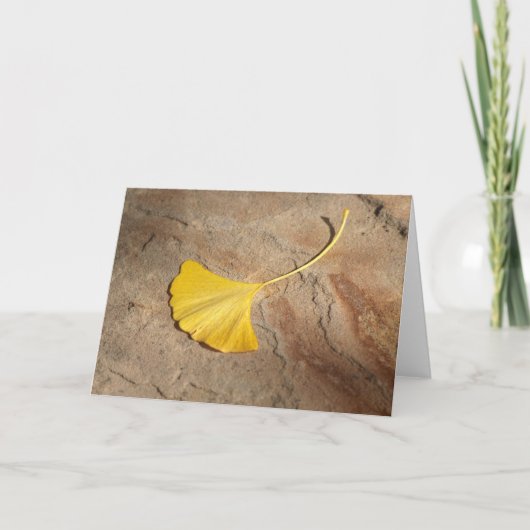 Carte soloe de Ginkgo (Devant)