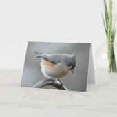 Carte Solstice (Devant)