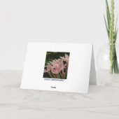 Carte Solstice hiver Abstraite (Dos)