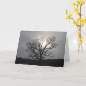 Carte Solstice Sun J'Ai Heureux Salutation solstice (Fleur jaune)