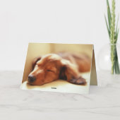 Carte Sommeil de teckel (Dos)