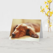 Carte Sommeil de teckel (Fleur jaune)