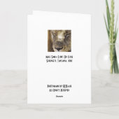 Carte Sommeil Simba (lion) (Dos)