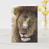 Carte Sommeil Simba (lion) (Fleur jaune)