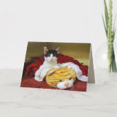 Carte Son Joyeux Kitten d'anniversaire avec Tigre de Jou (Dos)