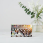 Carte son | Producteur (Debout devant)