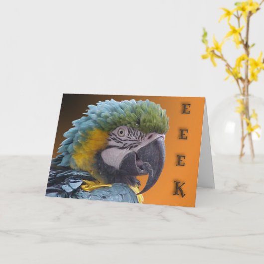 Carte Sonnette (Fleur jaune)