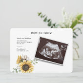 Carte Sonogramme d'Eucalyptus floral de tournesol révéla (Debout devant)