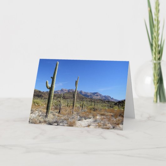 Carte Sonoran Desert Scene 13 (Devant)